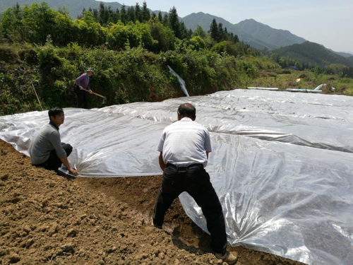 土壤消毒1 土壤消毒1