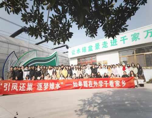 图片7