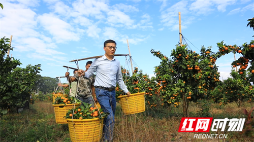 邑口村.png 邑口村.png