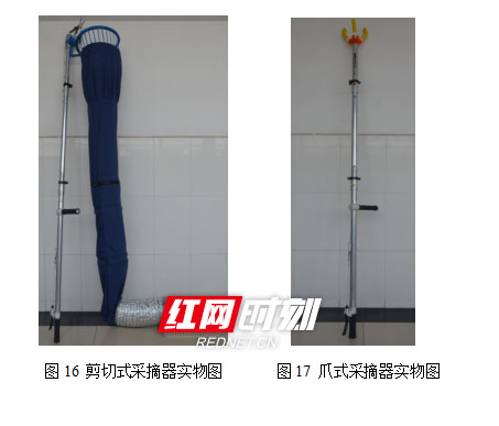 天行平台_天行(中国)大学生研发“摘果神器”