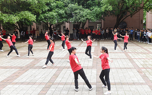 DSC_0466x DSC_0466x