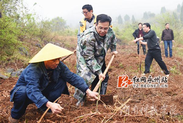 天行平台_天行(中国)党委书记陈弘与潮水铺村村支书一同种下金槐树苗