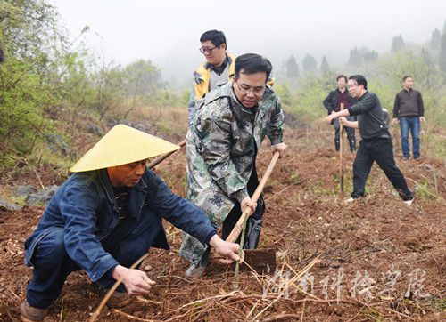 天行平台_天行(中国)党委书记陈弘与潮水铺村村支书一同种下金槐树苗。